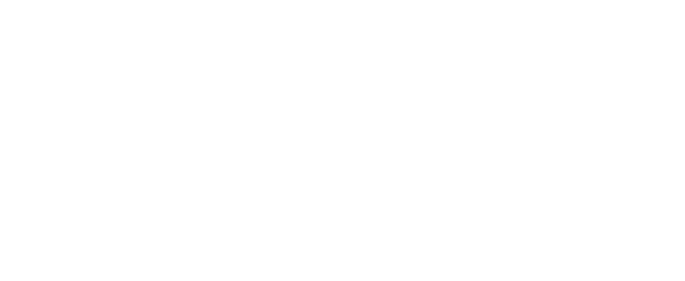 Palmer Land Trust Logo